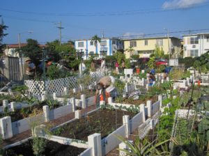 North Beach Community Garden overview